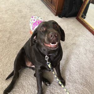 Meet your Posher, Bessie